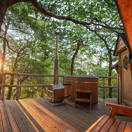 Chestnut Tree House With Hot Tub & Sauna Barmouth Eksteriør bilde