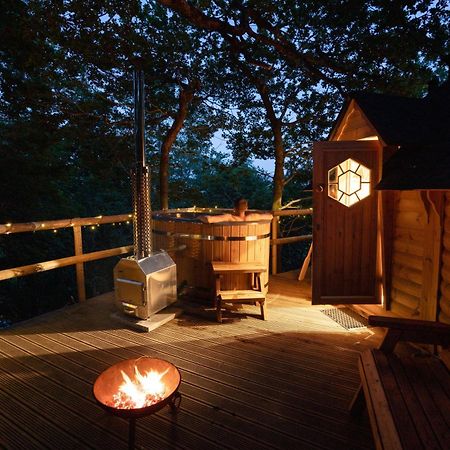 Chestnut Tree House With Hot Tub & Sauna Barmouth Eksteriør bilde