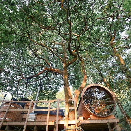 Chestnut Tree House With Hot Tub & Sauna Barmouth Eksteriør bilde
