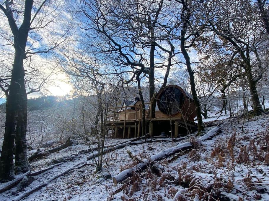 Chestnut Tree House With Hot Tub & Sauna Barmouth Eksteriør bilde