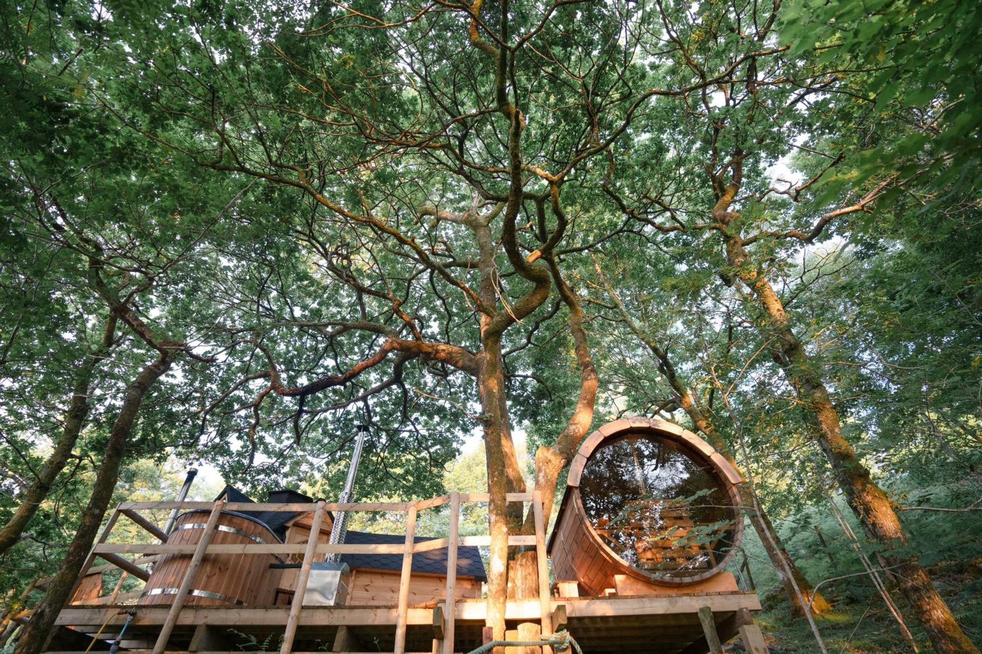 Chestnut Tree House With Hot Tub & Sauna Barmouth Eksteriør bilde