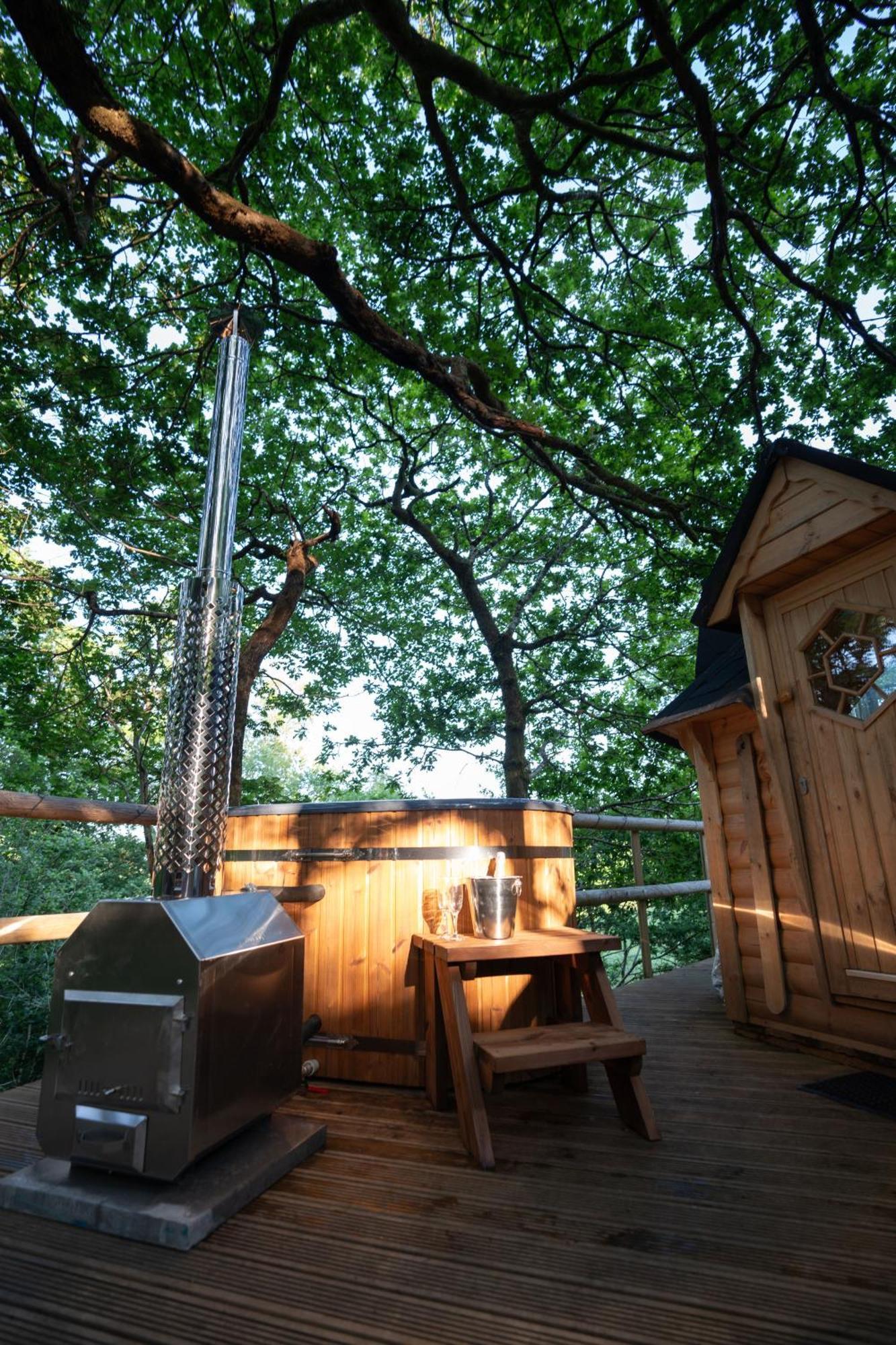 Chestnut Tree House With Hot Tub & Sauna Barmouth Eksteriør bilde